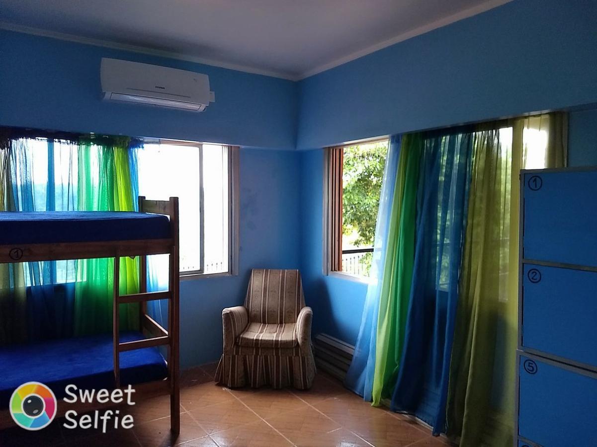 Butterfly Hostel Пуэрто-Игуасу Экстерьер фото