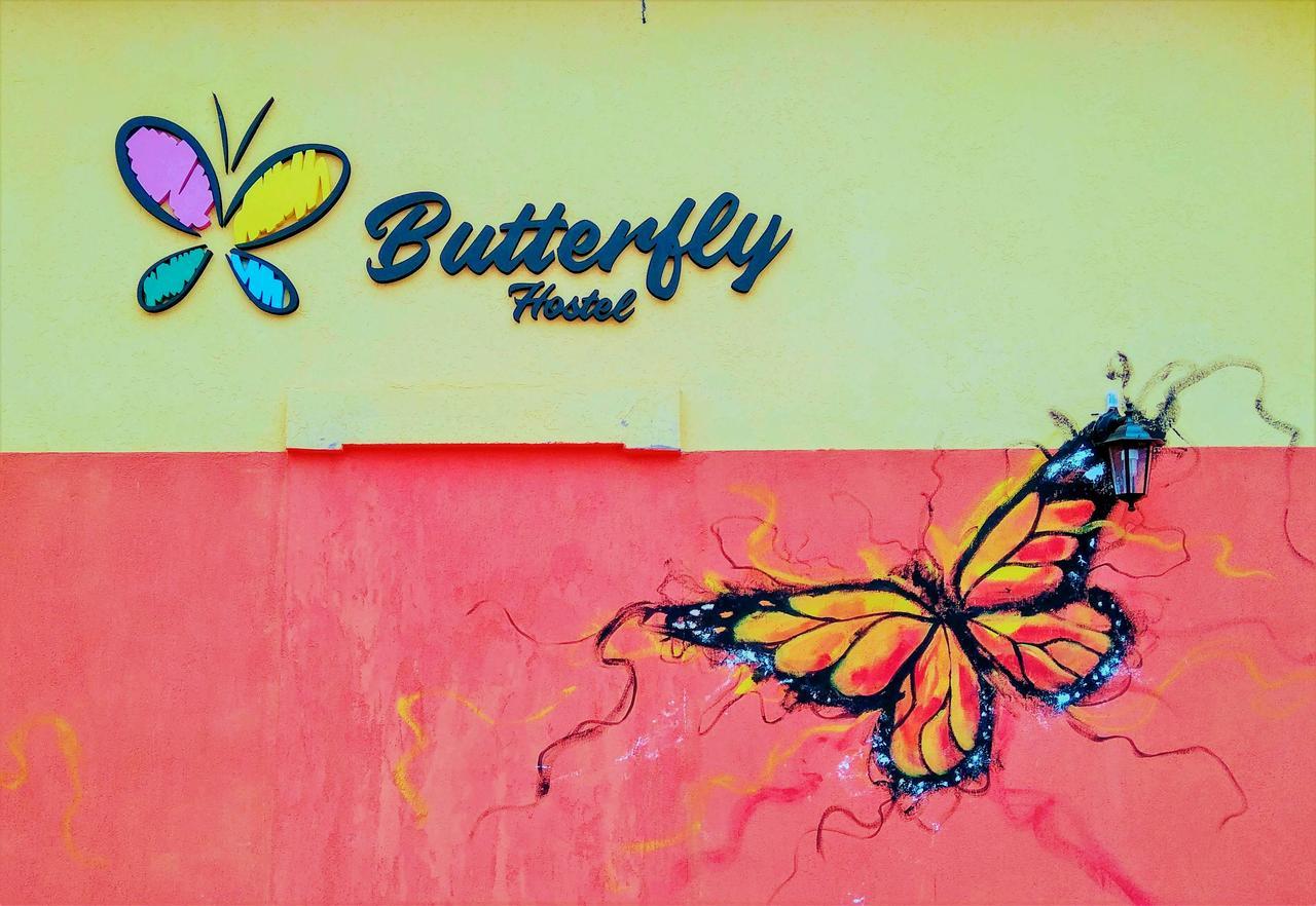 Butterfly Hostel Пуэрто-Игуасу Экстерьер фото