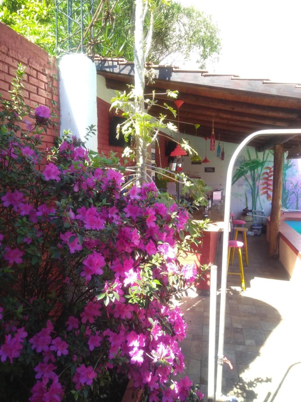 Butterfly Hostel Пуэрто-Игуасу Экстерьер фото